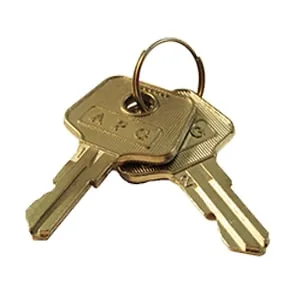 APG Vasario Replacement Key Set - Code 235 - 2 Keys
