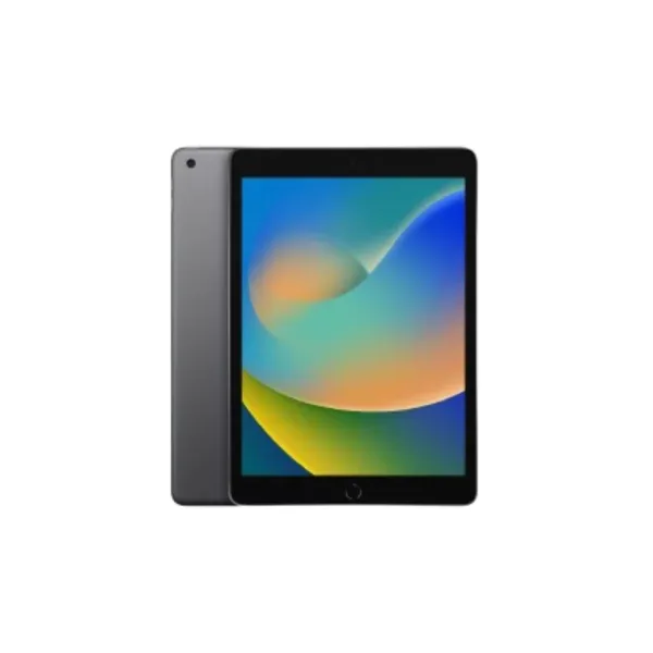 Apple iPad 9th Gen 256GB Wi-Fi Tablet