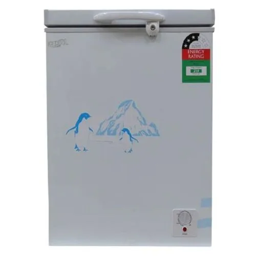 Ecomax BD-119 119L Chest Freezer – Compact, Energy-Saving Deep Freezer with Fast Cooling & Durable Build for Home or Business Use