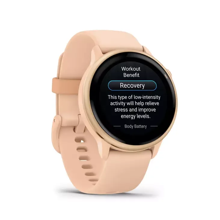Garmin Vivoactive 6 Smartwatch- Pink Dawn/Pink Dawn Metallic