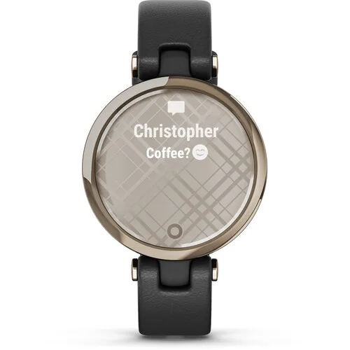 Garmin Lily GPS Smartwatch
