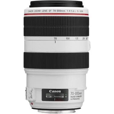 Nikon AF-P NIKKOR 70-300mm Lens