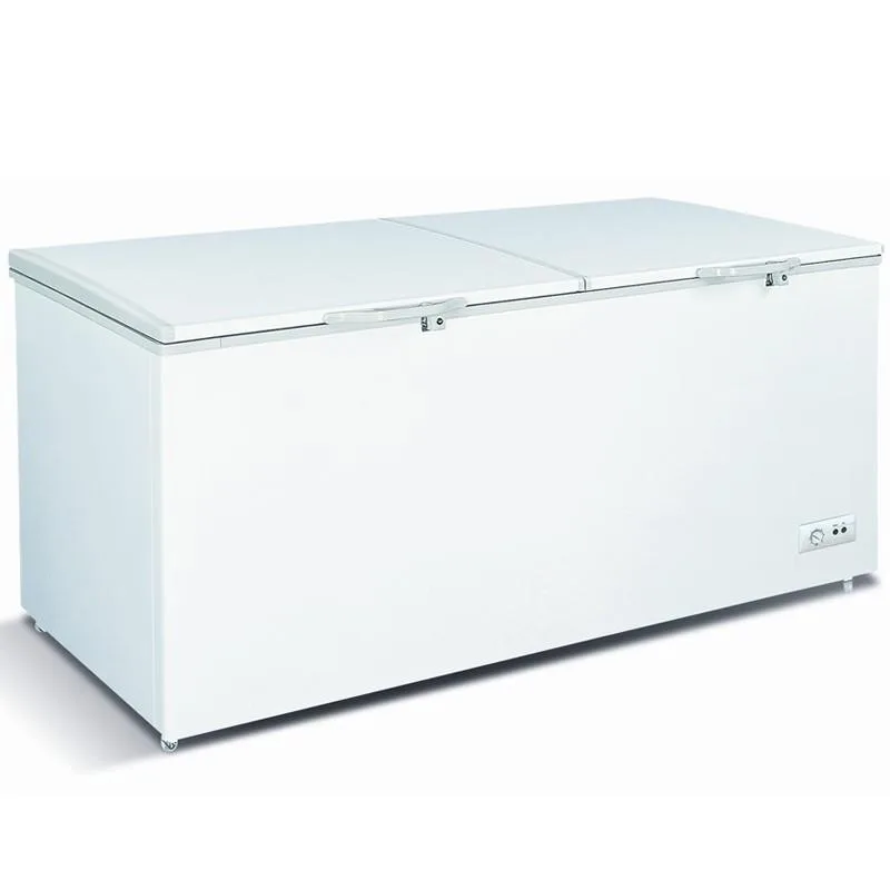 CF/154-Ramtons 560 Liters Chest Freezer Double Door
