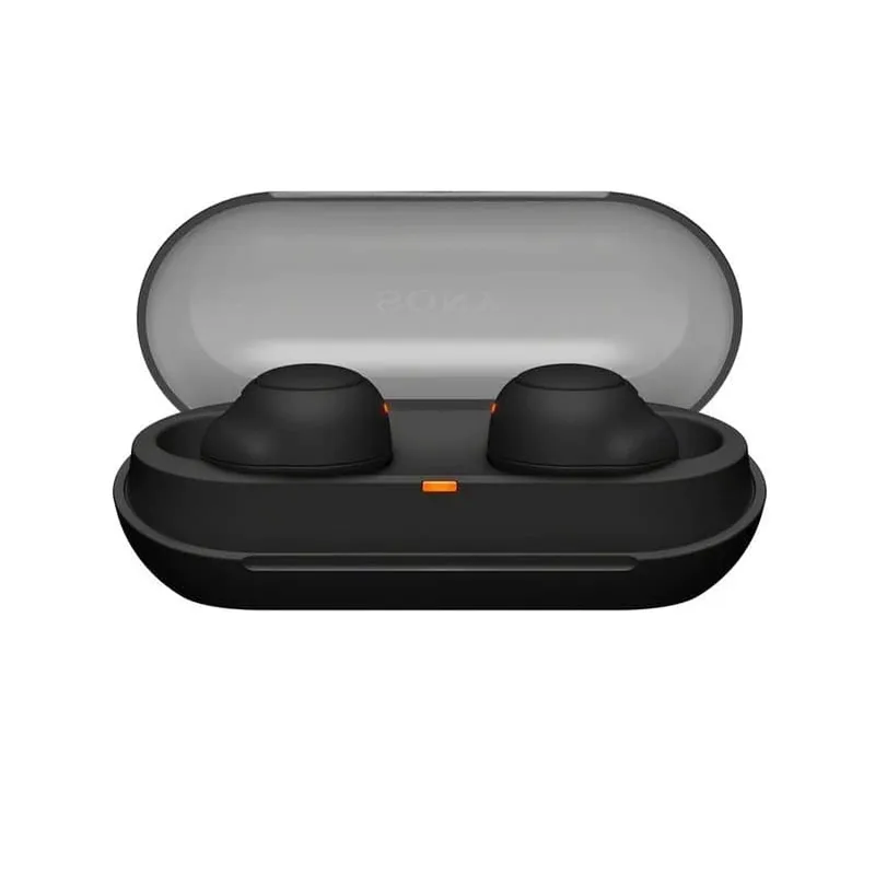 Sony WF-C500 Truly Wireless Earphones